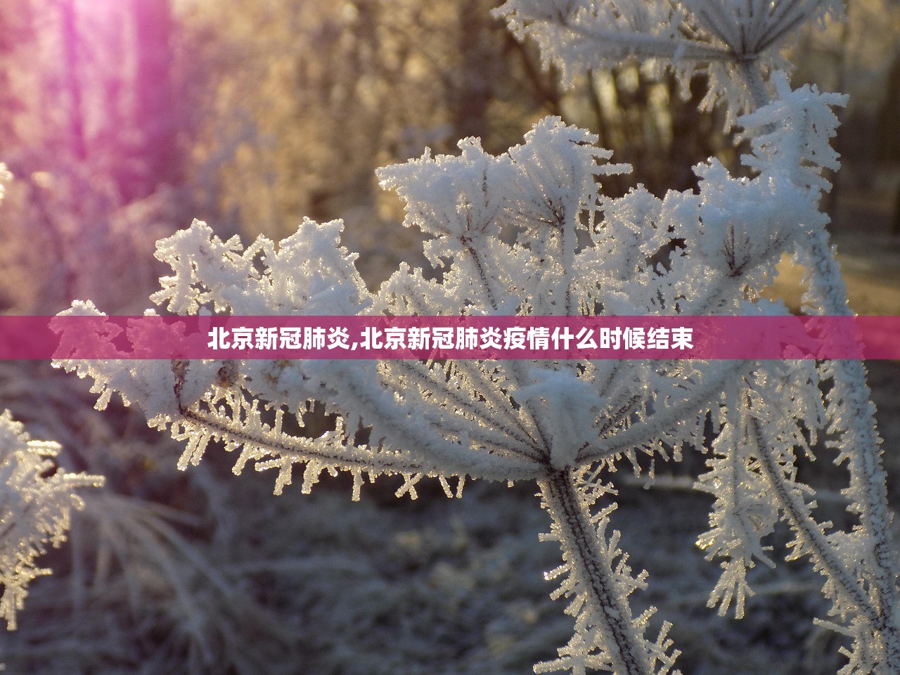 上海隔离期发现多例复阳︰(上海本地病例复阳) 上海隔离期发现多例复阳︰(上海本地病例复阳)