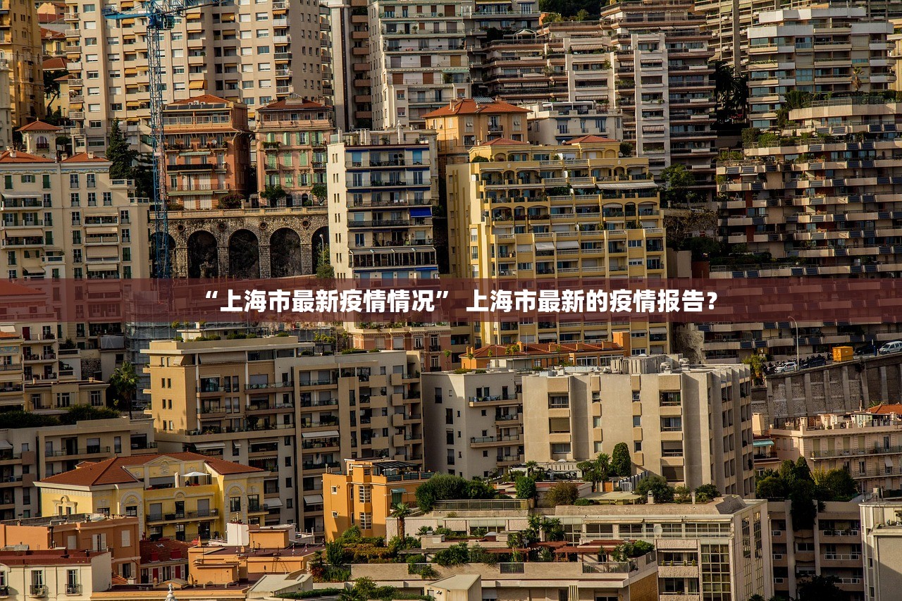 石各庄疫情,石各庄 石家庄 石各庄疫情,石各庄 石家庄