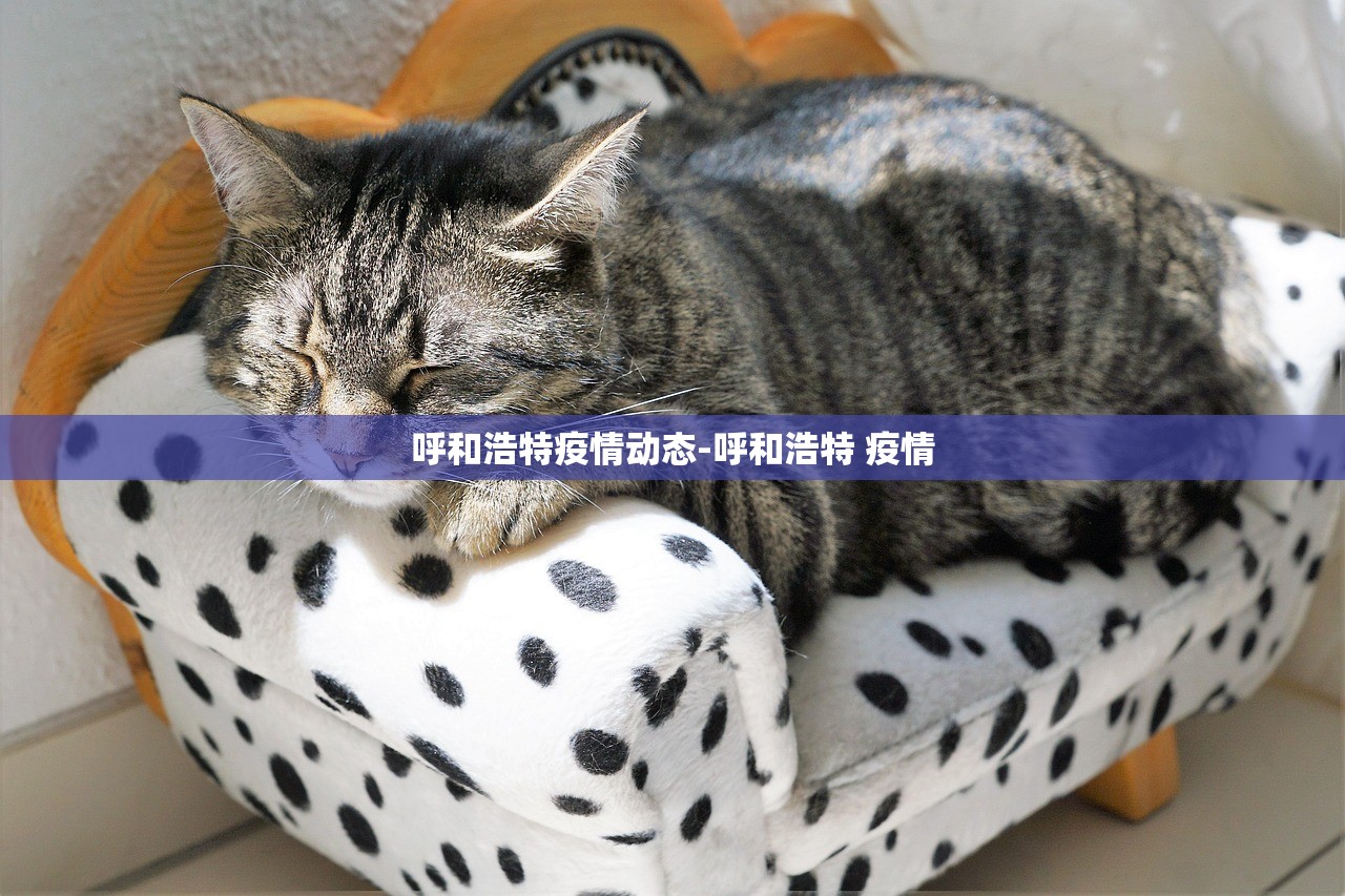 “河南新增本土确诊33例” 河南新增本土确诊33例最新消息？