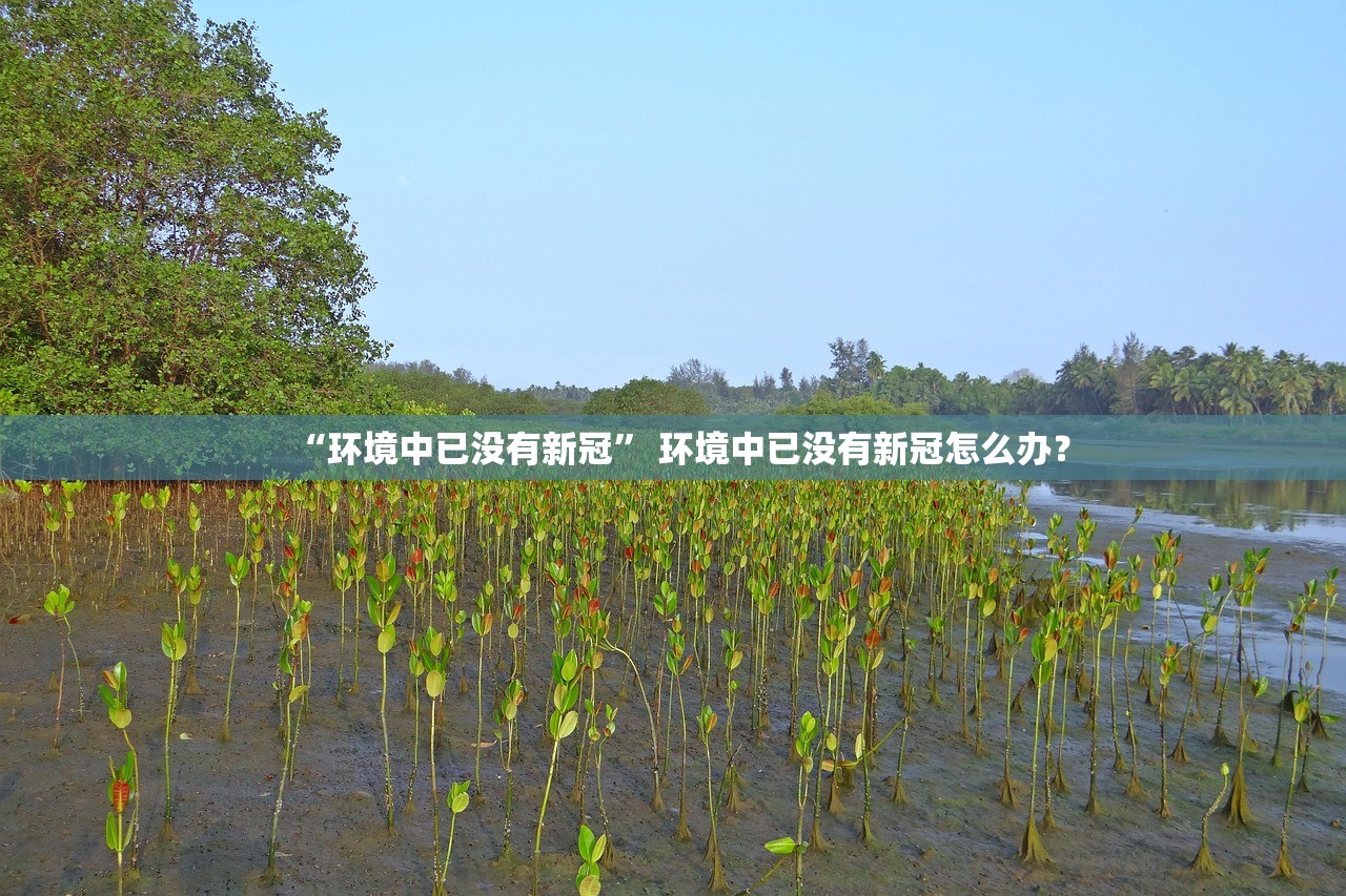 网传北京某小区出现确诊病例不实.北京 确诊 小区