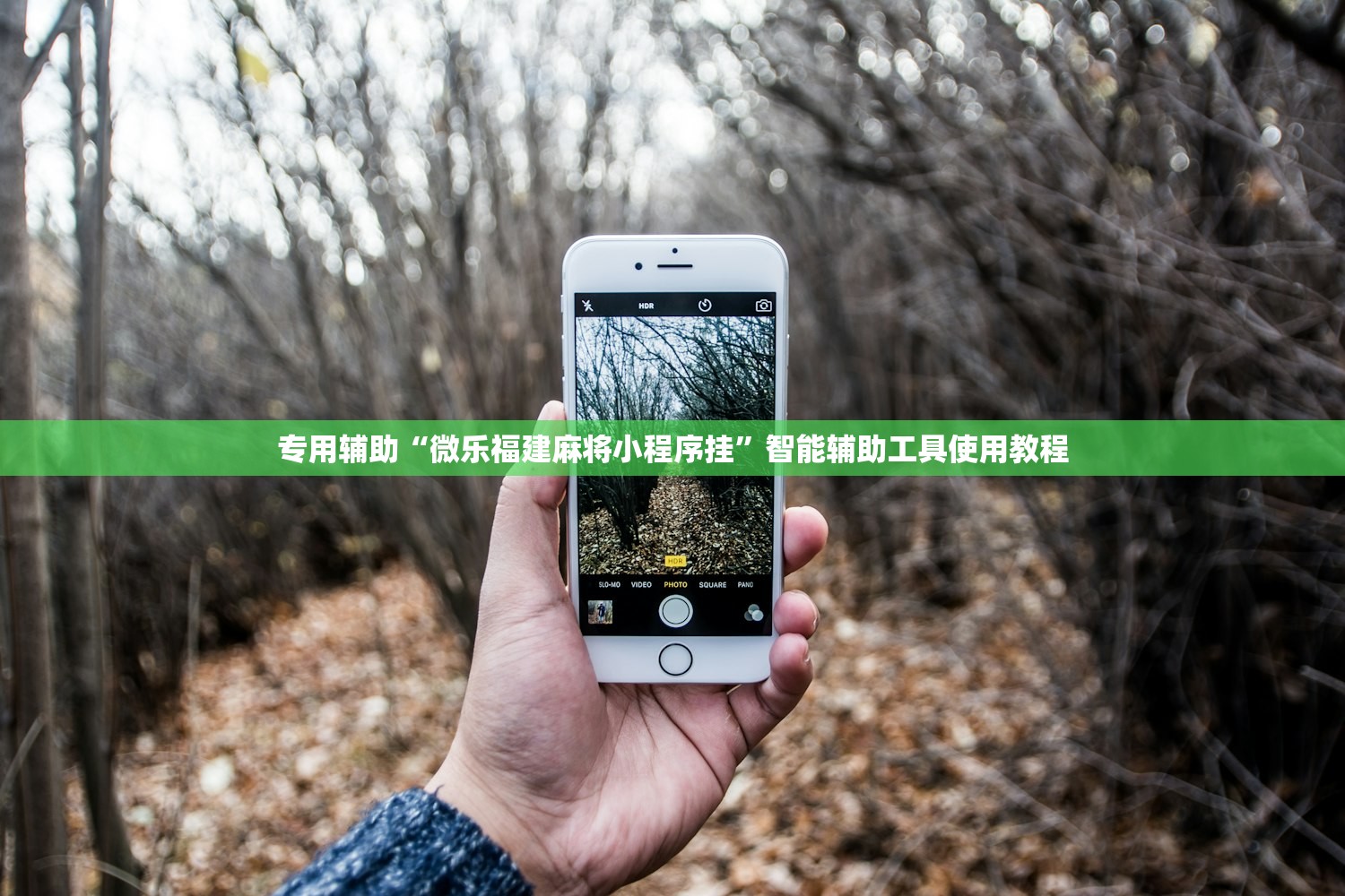 广西贺州桂东农村合作银行被罚100.84万元：违反金融统计相关规定等