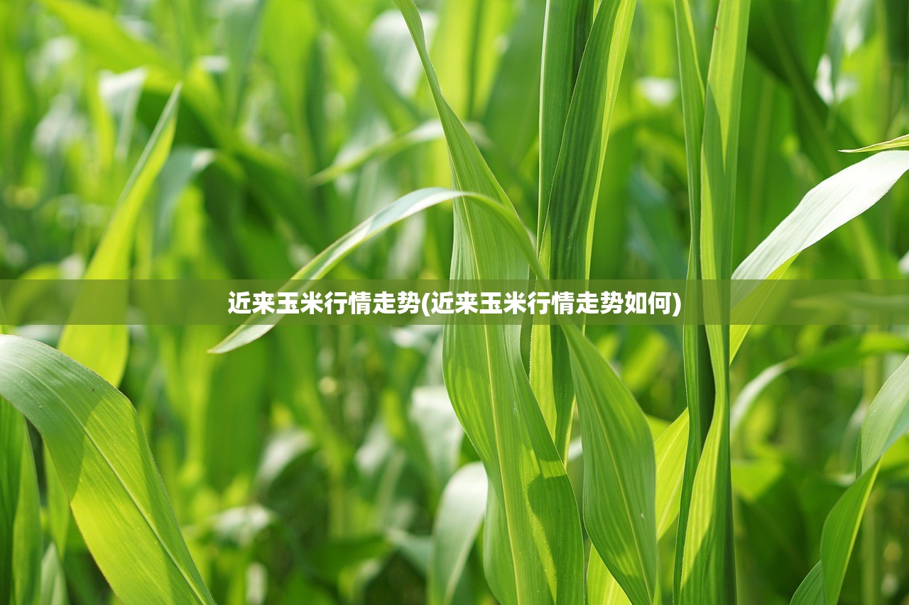 31省新增确诊17例本土3例︰(31省新增确诊33例本土1) 31省新增确诊17例本土3例︰(31省新增确诊33例本土1)