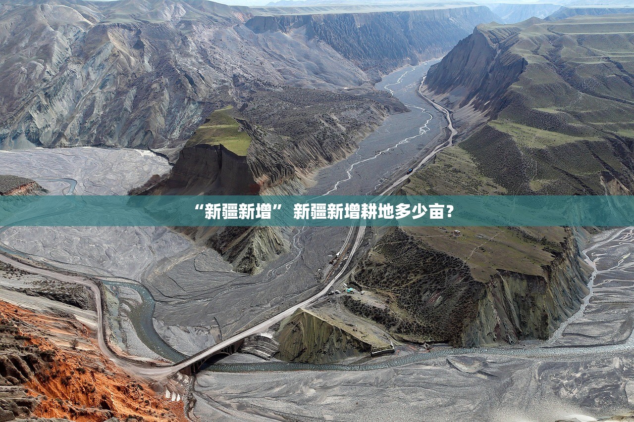 上海新增本土确诊322〃上海新增本土确诊低于1000例