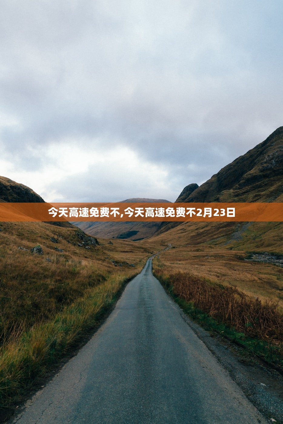 日本爆发数十年来最大规模反战示威，抗议者要求高市早苗辞职