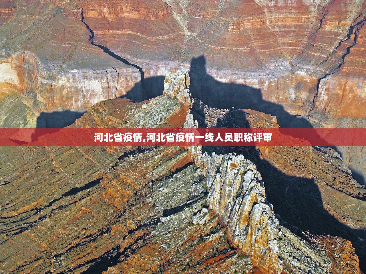 “黑龙江新增本土确诊15例” 黑龙江新增本土确诊15例!？