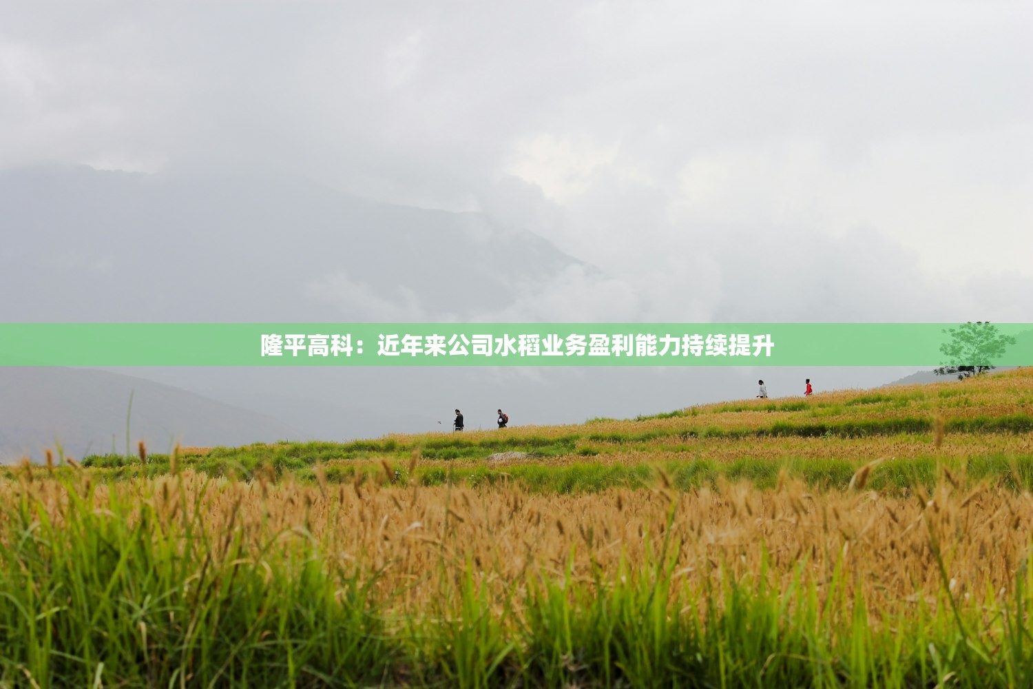 内蒙古新增本土确诊61例.内蒙古新增本土确诊61例