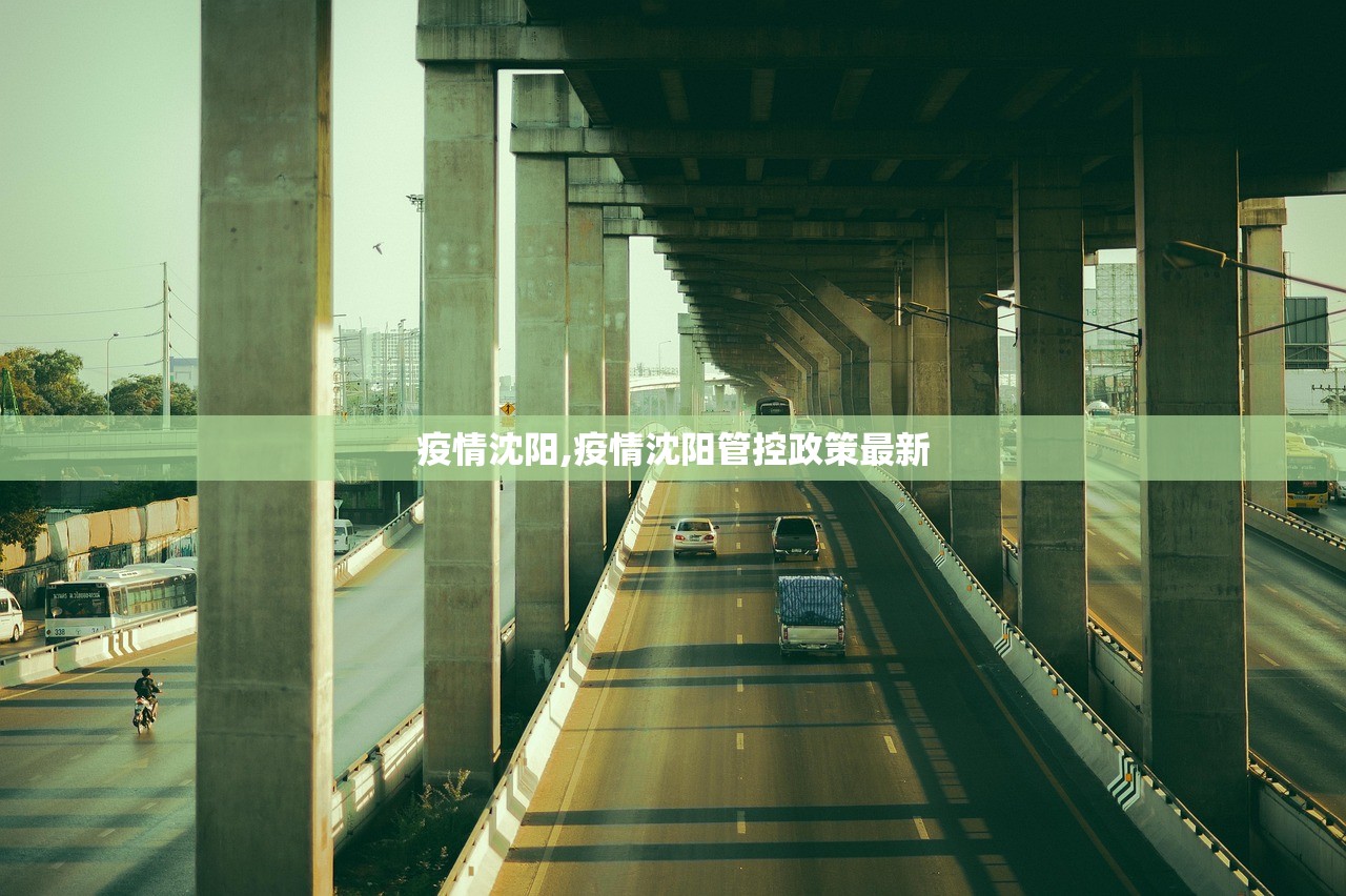 上海疫情最新报告,上海 疫情 最新