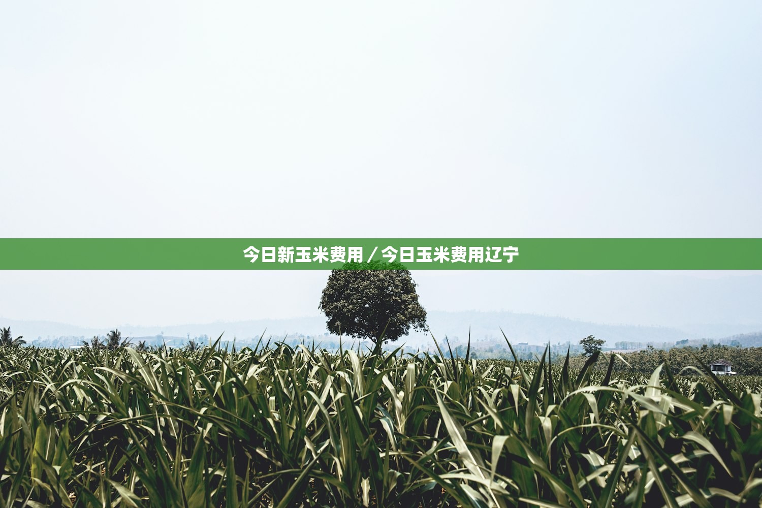 “北京新增2例确诊” 北京新增2例确诊行程？