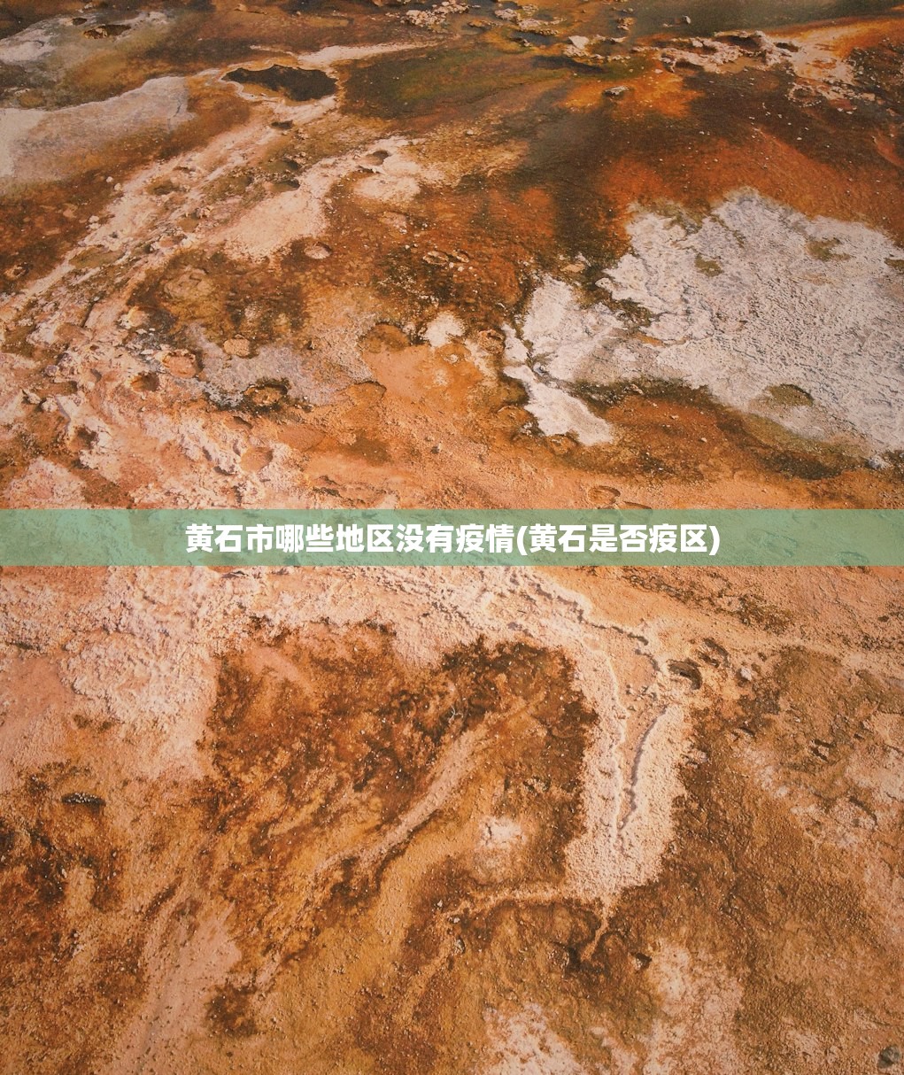 山东昨日增本土确诊24例.山东昨天新增冠状病毒
