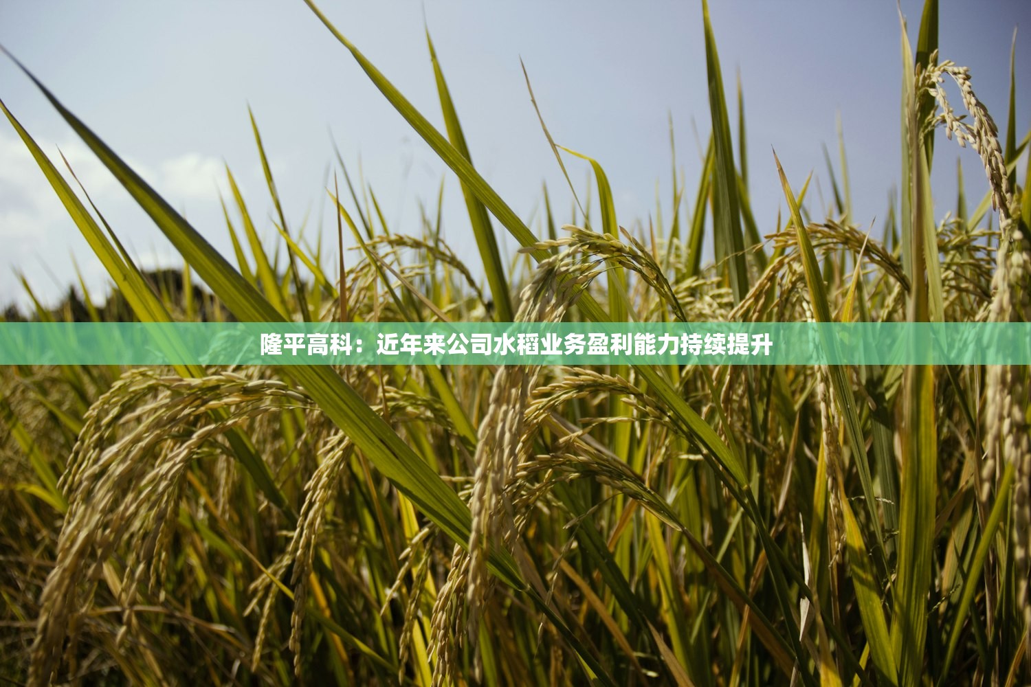 31省区市新增确诊病例10例,31省区市新增确诊病例20例 31省区市新增确诊病例10例,31省区市新增确诊病例20例