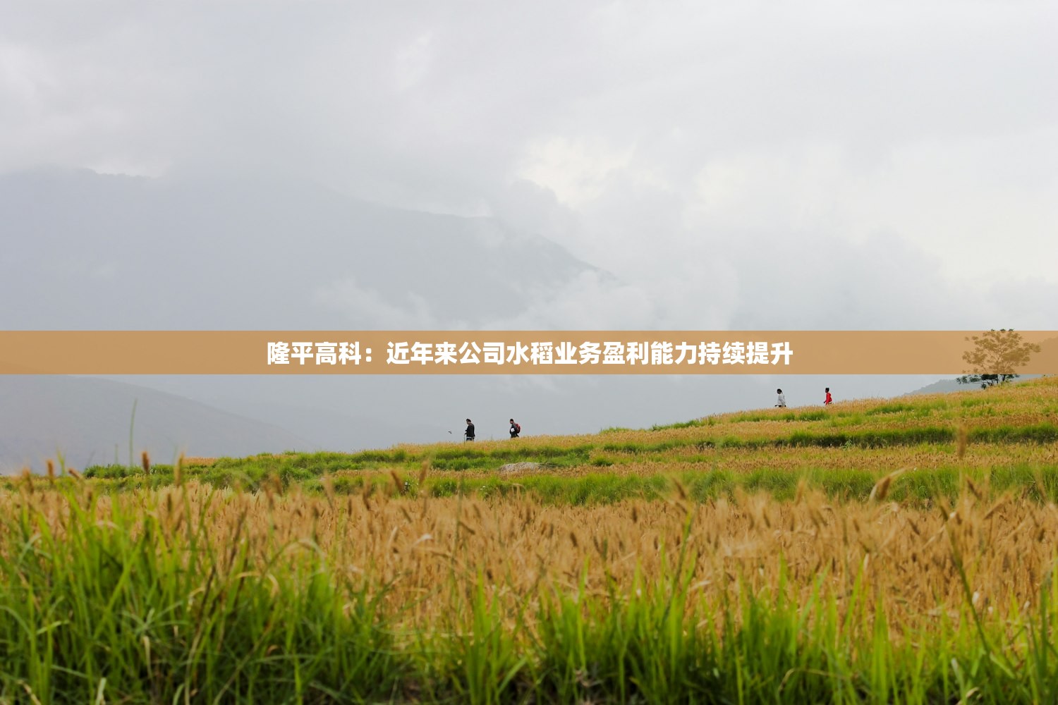 韩国财长称将努力稳定房地产市场
