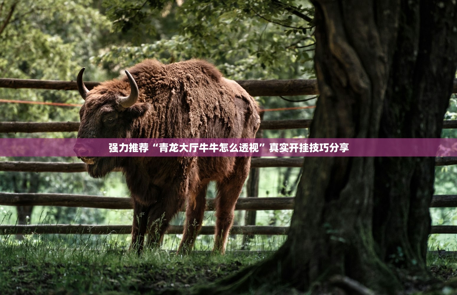 强力推荐“青龙大厅牛牛怎么透视	”真实开挂技巧分享