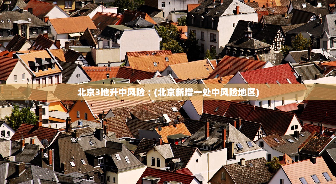 北京机动车摇号申请-北京机动车摇号申请多久通过