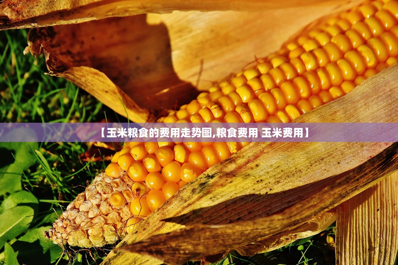 【玉米粮食的费用走势图,粮食费用 玉米费用】 【玉米粮食的费用走势图,粮食费用 玉米费用】