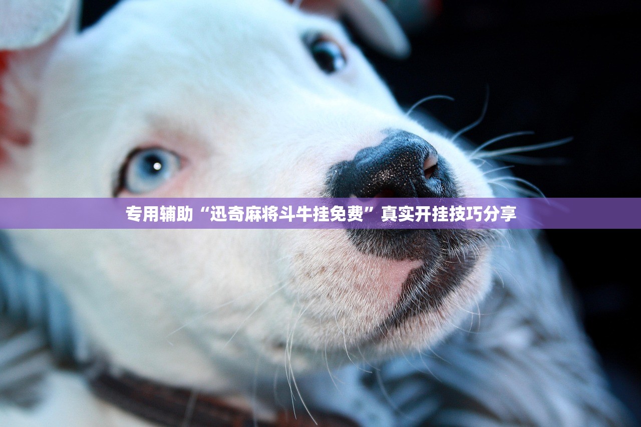专用辅助“迅奇麻将斗牛挂免费”真实开挂技巧分享