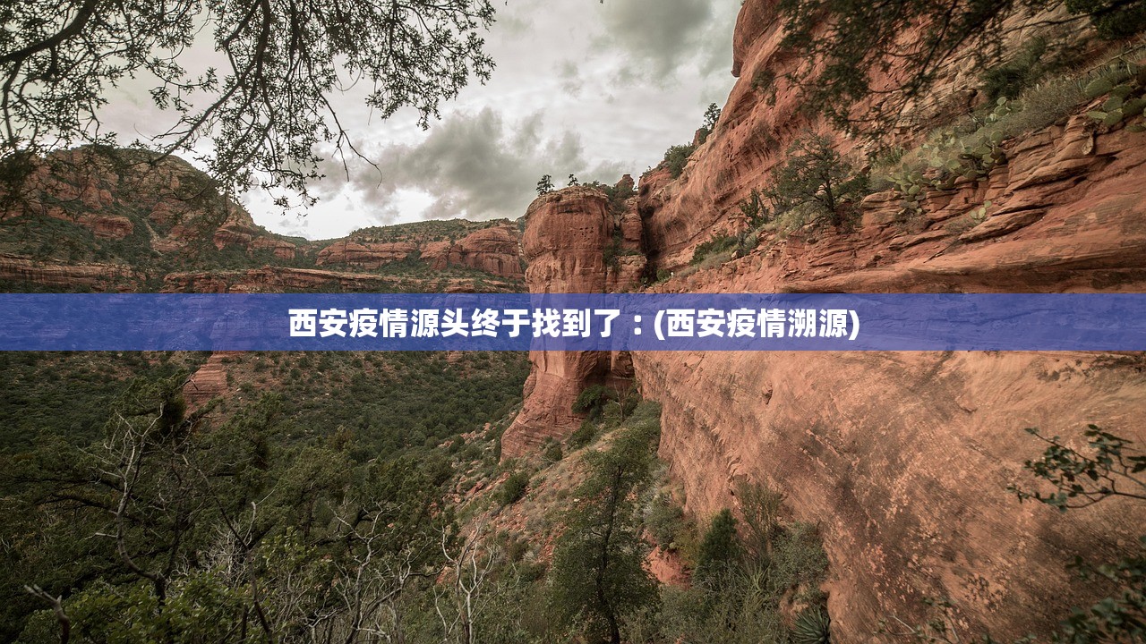 西安疫情源头终于找到了︰(西安疫情溯源)