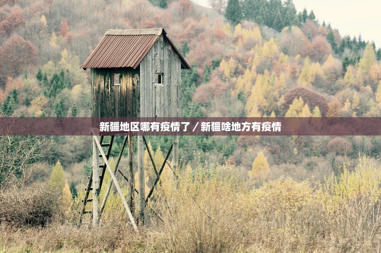 上海分区封控核检-上海全区域封闭管理