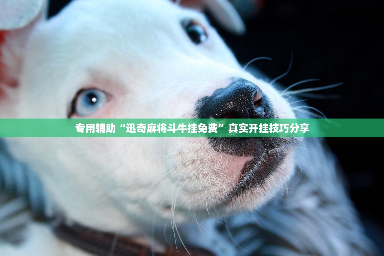专用辅助“迅奇麻将斗牛挂免费”真实开挂技巧分享
