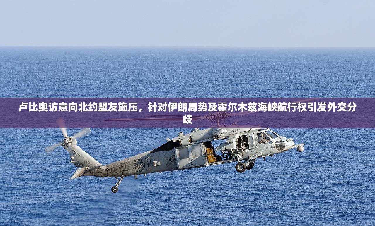 卢比奥访意向北约盟友施压，针对伊朗局势及霍尔木兹海峡航行权引发外交分歧