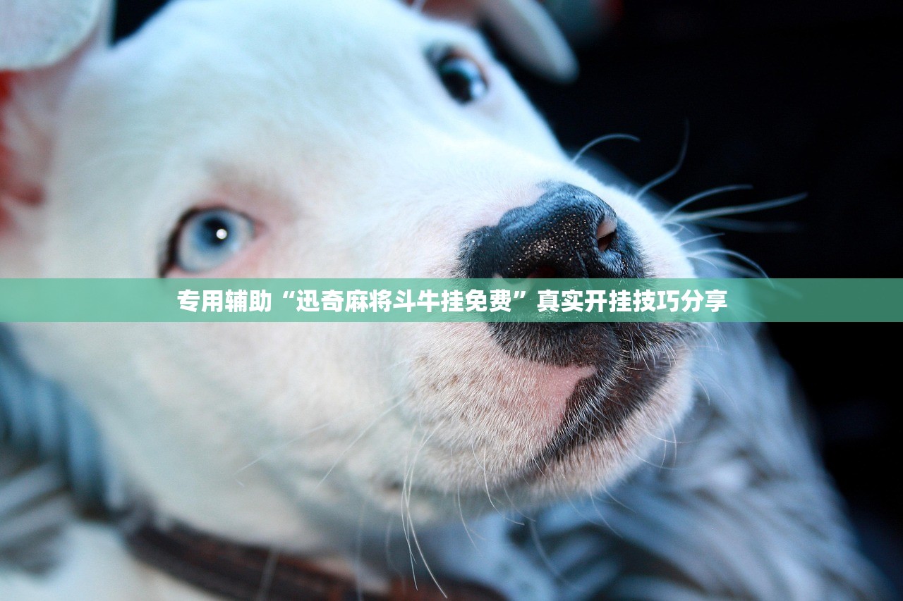 新疆新增3例本土无症状感染者-新疆新增确诊病例3例无症状感染者6例 新疆新增3例本土无症状感染者-新疆新增确诊病例3例无症状感染者6例