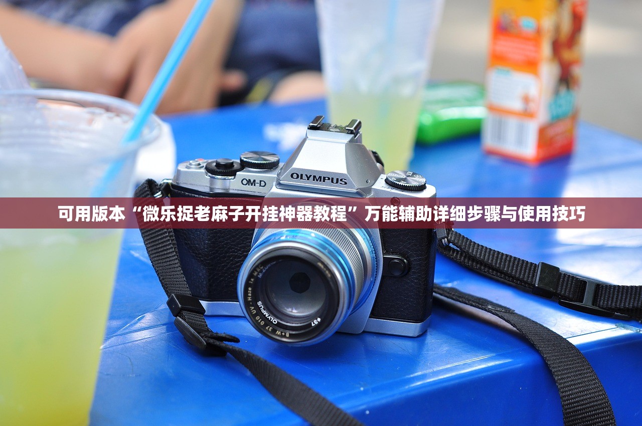 可用版本“微乐捉老麻子开挂神器教程”万能辅助详细步骤与使用技巧