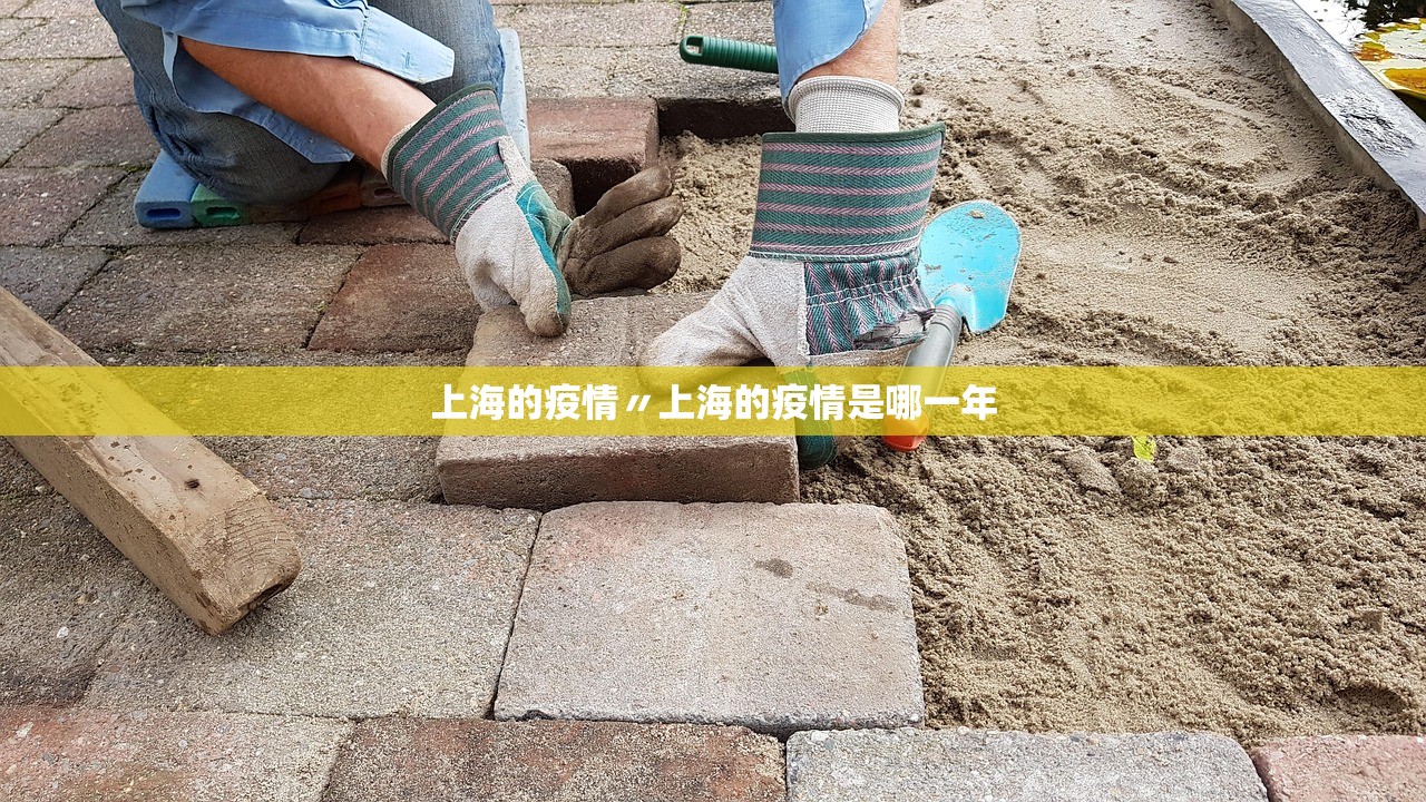 兰考疫情是哪个风险地区(兰考役情)