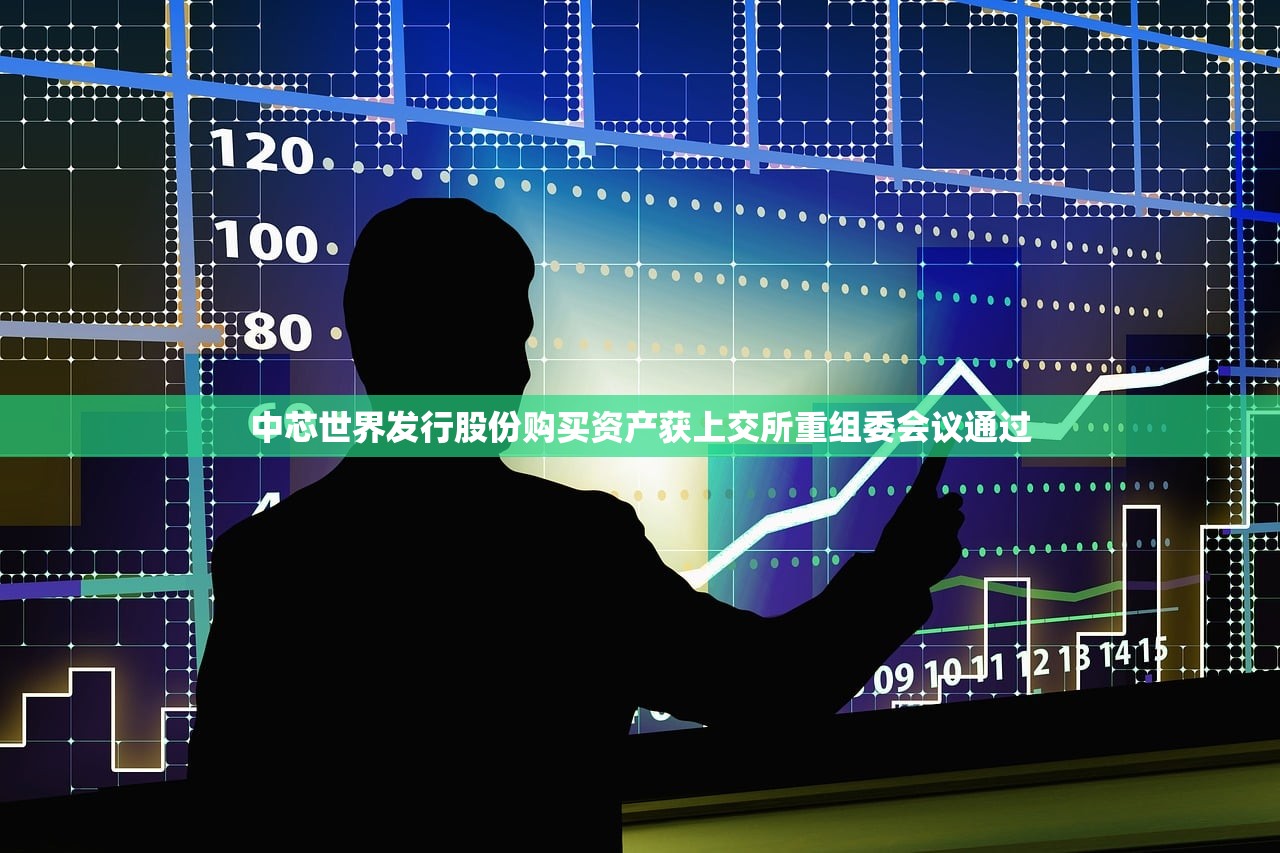 中芯世界发行股份购买资产获上交所重组委会议通过