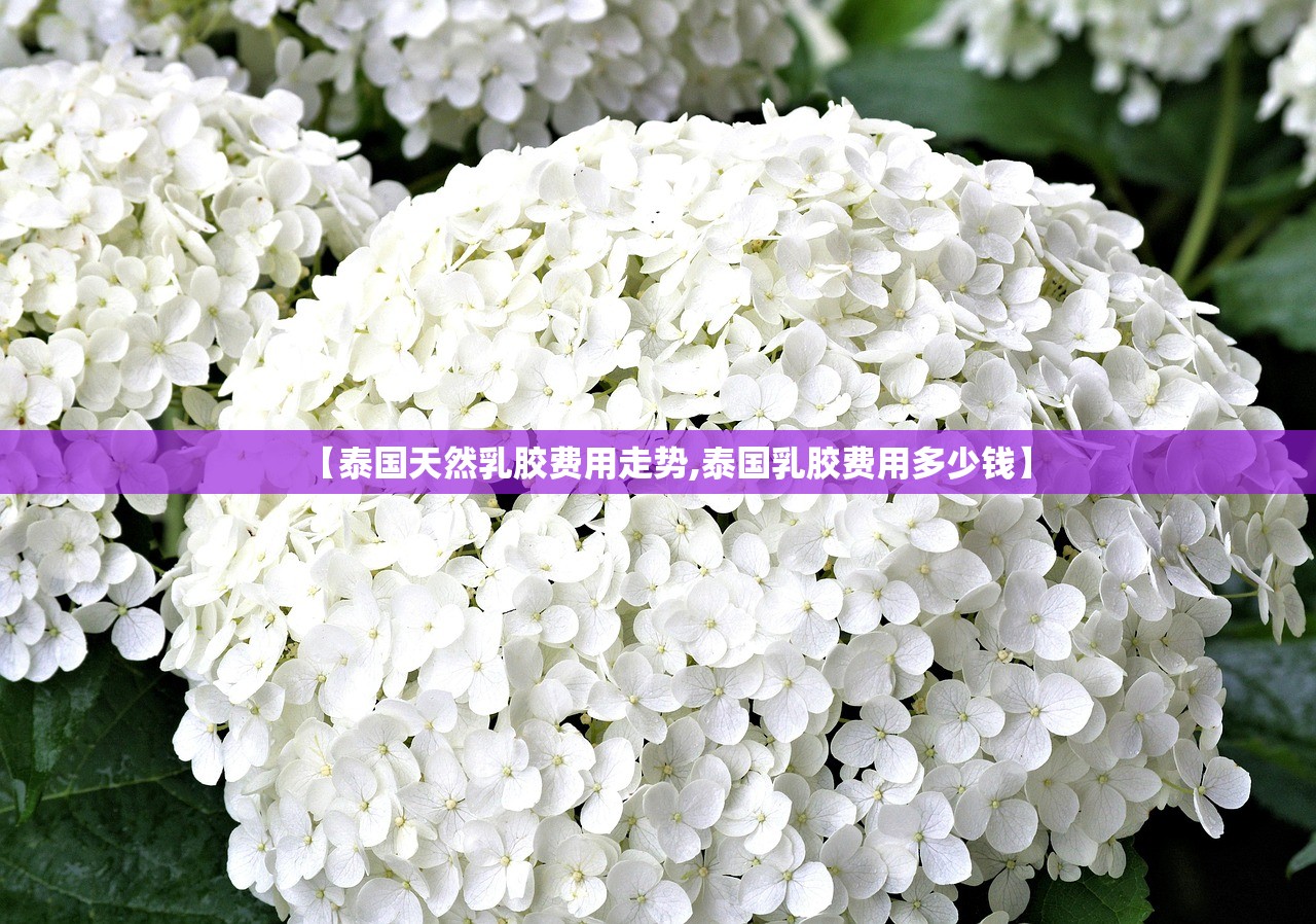 吉林新增2例大连输入病例-吉林大连疫情案件最新消息