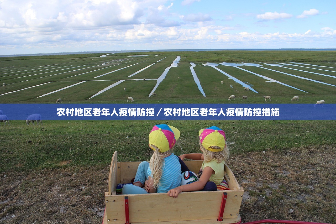 农村地区老年人疫情防控/农村地区老年人疫情防控措施 农村地区老年人疫情防控/农村地区老年人疫情防控措施