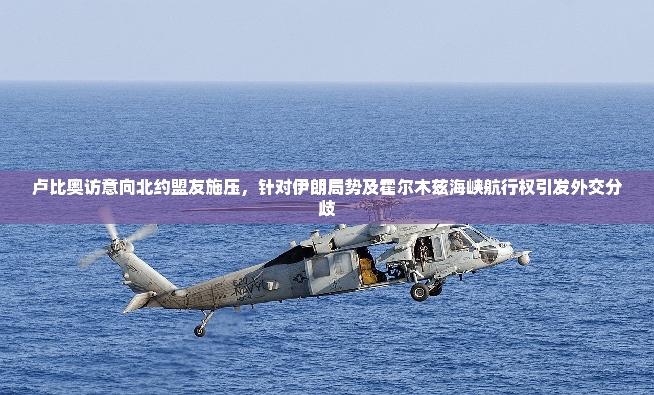 卢比奥访意向北约盟友施压，针对伊朗局势及霍尔木兹海峡航行权引发外交分歧