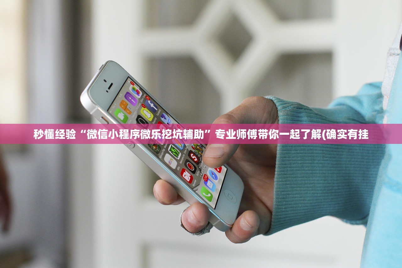 秒懂经验“微信小程序微乐挖坑辅助”专业师傅带你一起了解(确实有挂