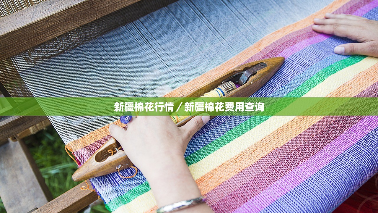 新疆棉花行情/新疆棉花费用查询 新疆棉花行情/新疆棉花费用查询