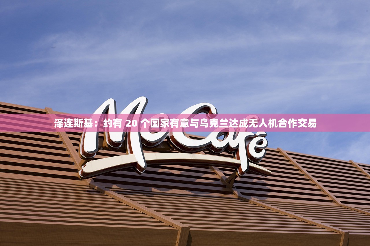 泽连斯基：约有 20 个国家有意与乌克兰达成无人机合作交易