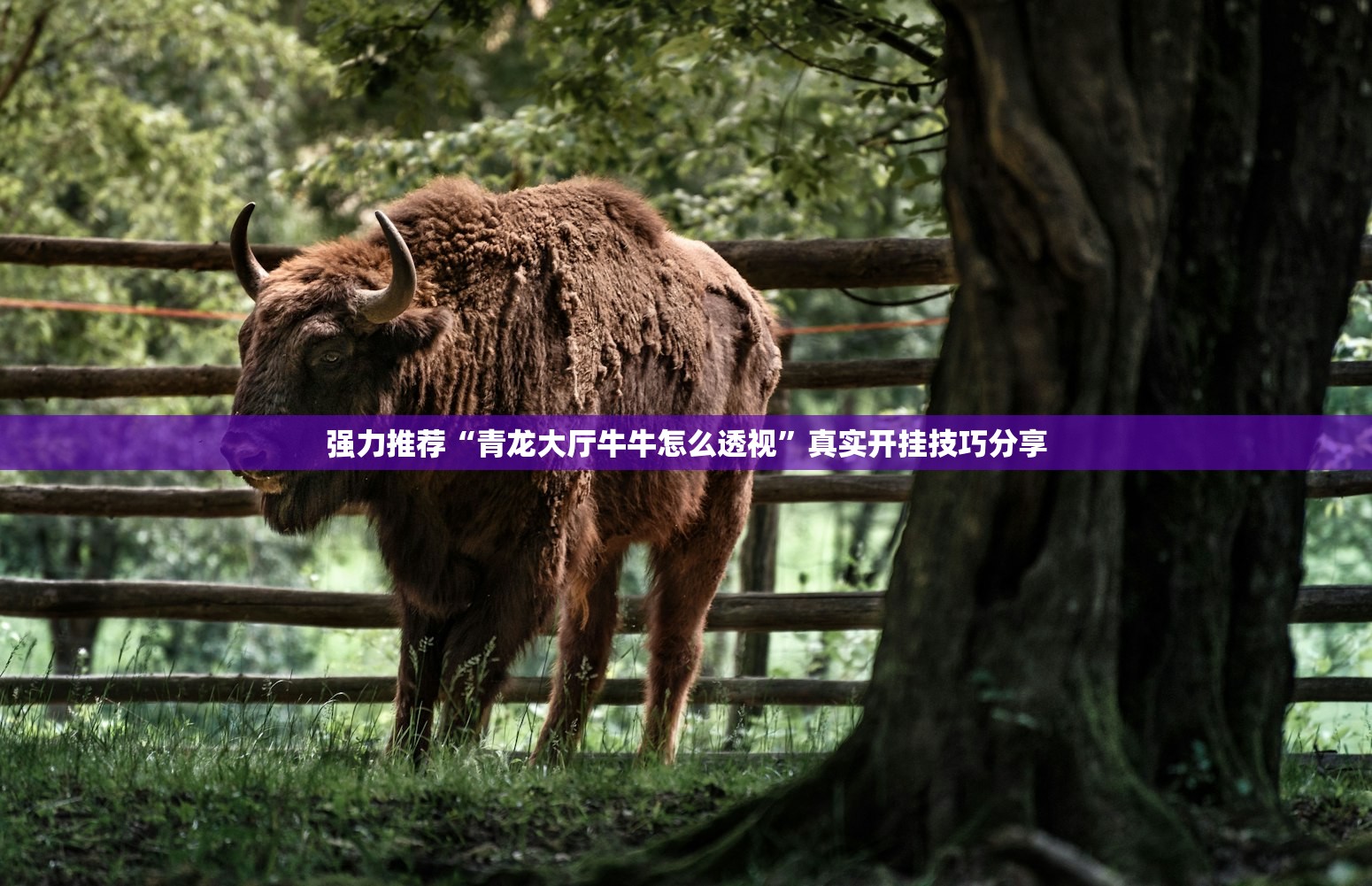 【江苏新增本土确诊病例2例/江苏新增本土确诊病例详情】