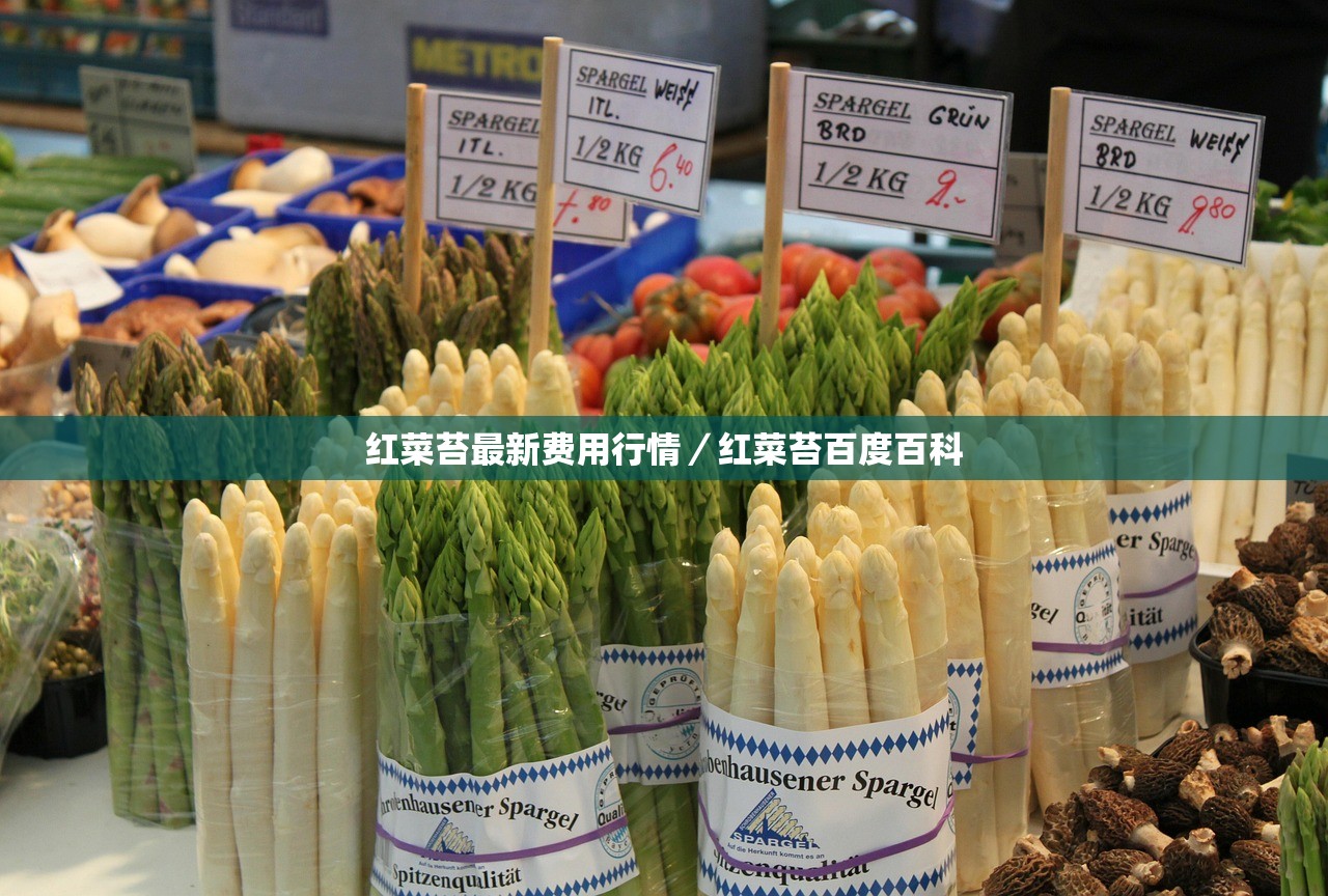 红菜苔最新费用行情／红菜苔百度百科