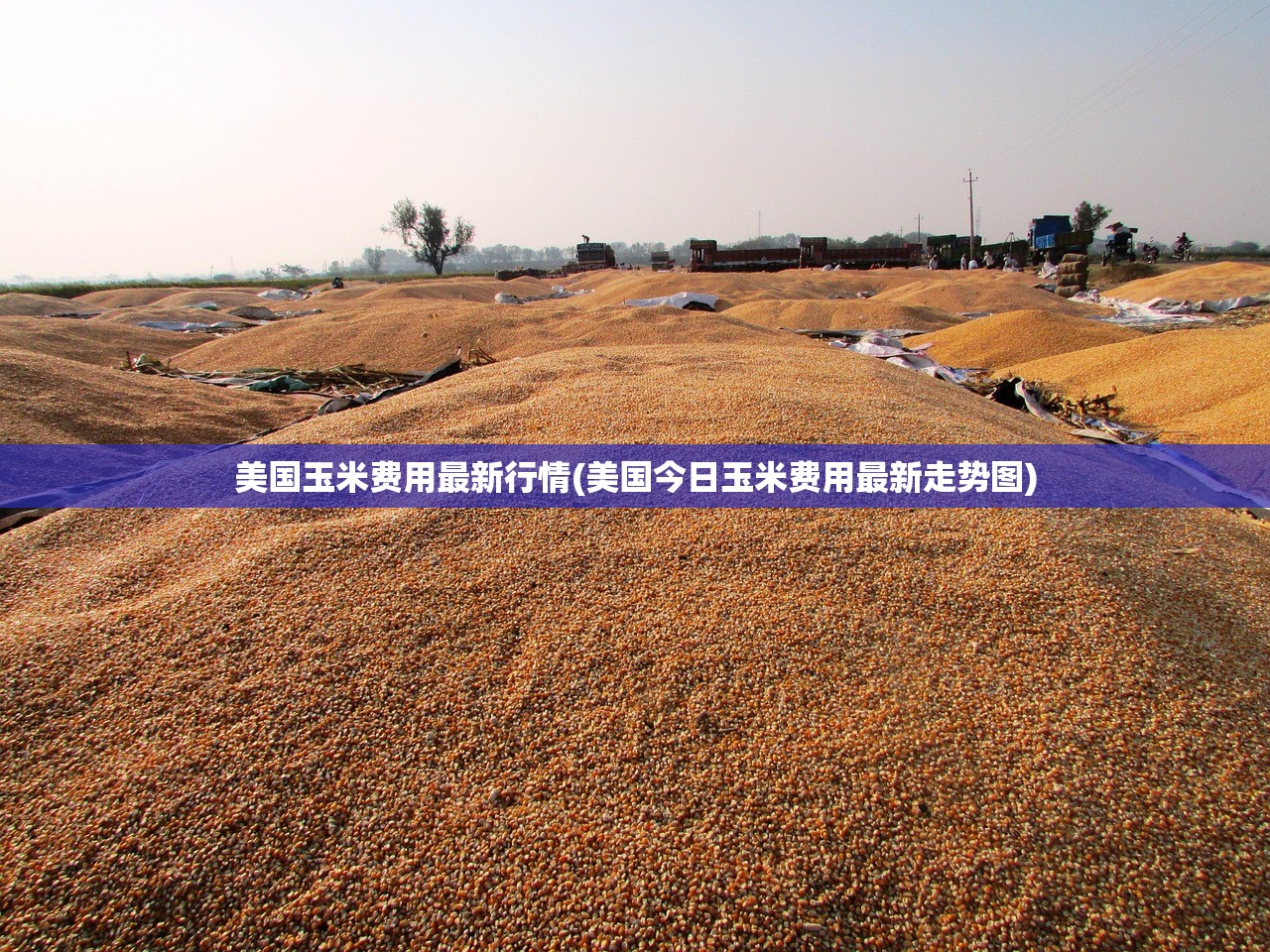 31省区市新增49例︰(31省区市新增42例) 31省区市新增49例︰(31省区市新增42例)