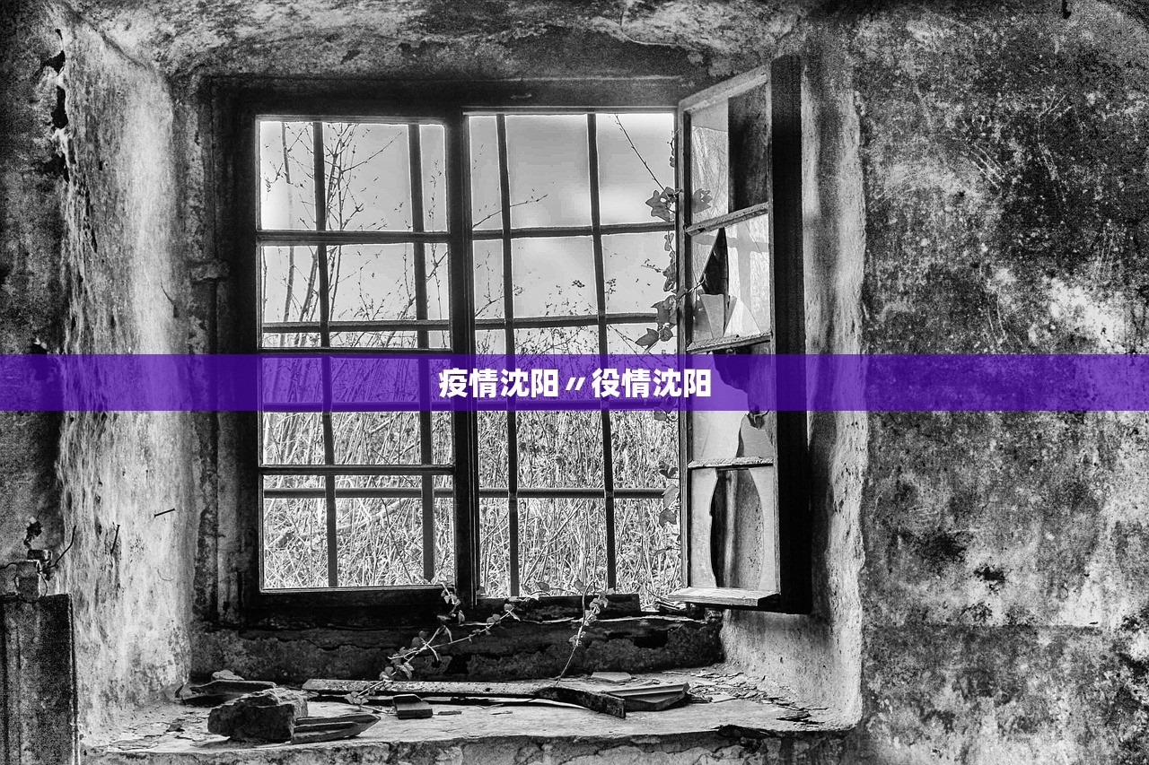 疫情沈阳〃役情沈阳 疫情沈阳〃役情沈阳