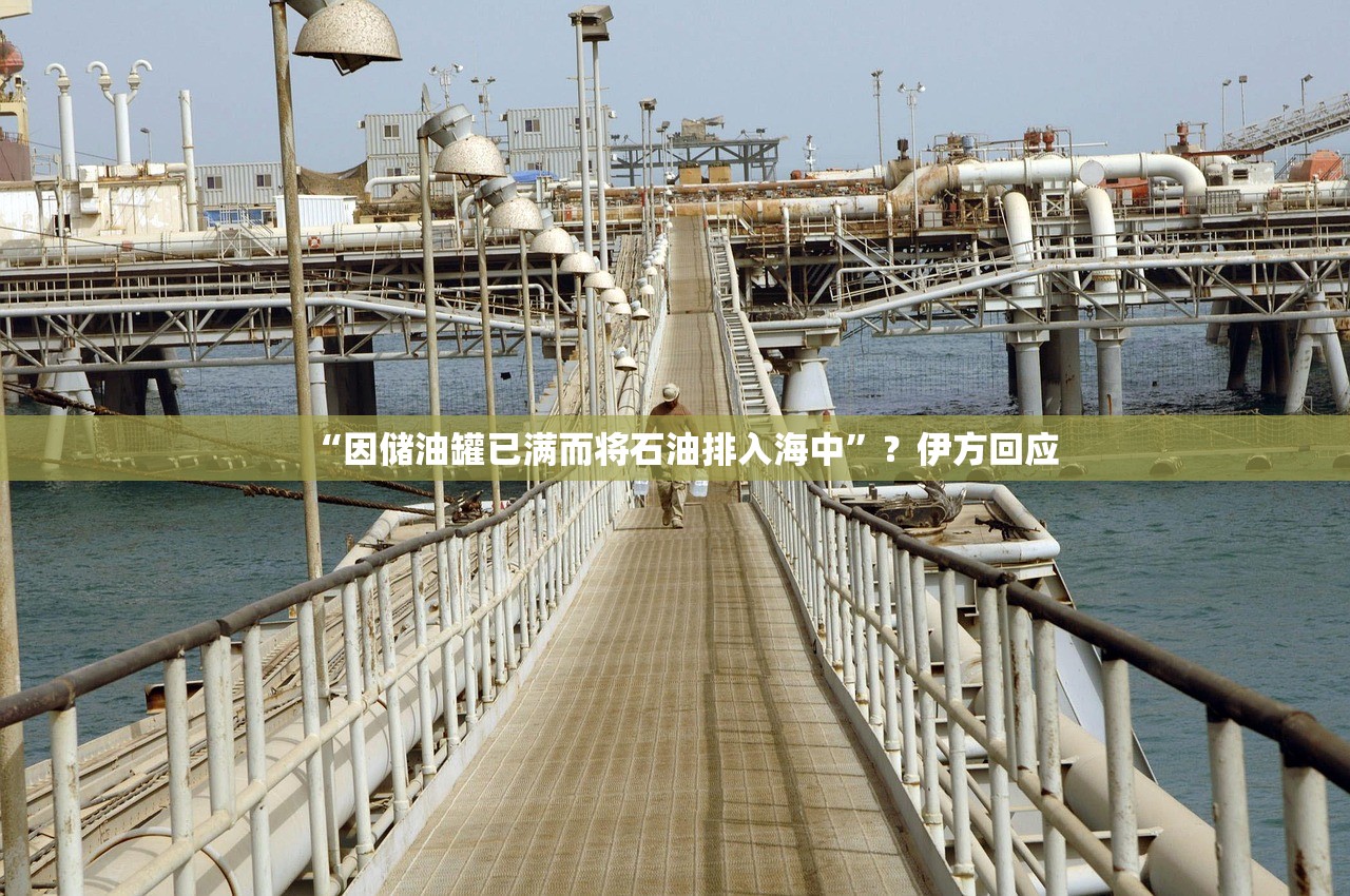 “因储油罐已满而将石油排入海中”？伊方回应
