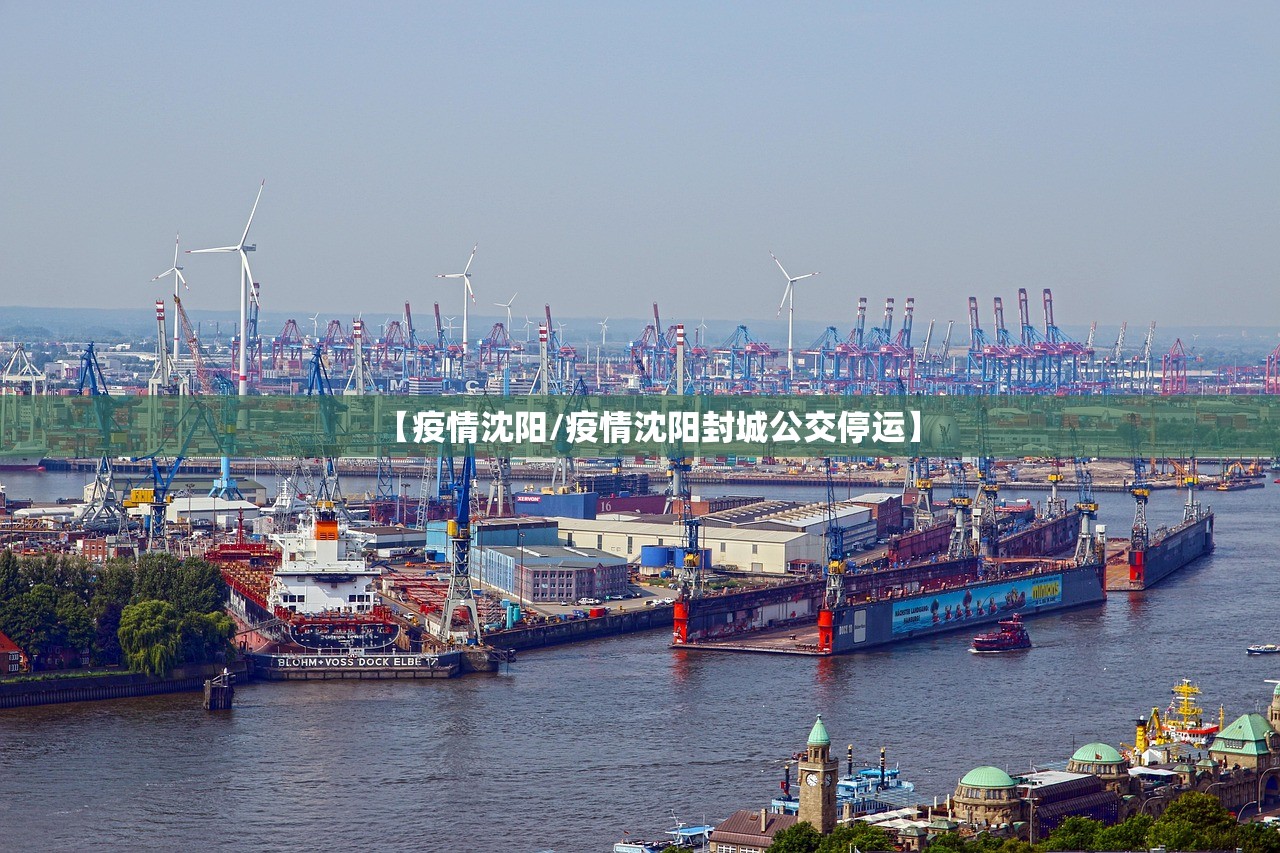 【疫情沈阳/疫情沈阳封城公交停运】