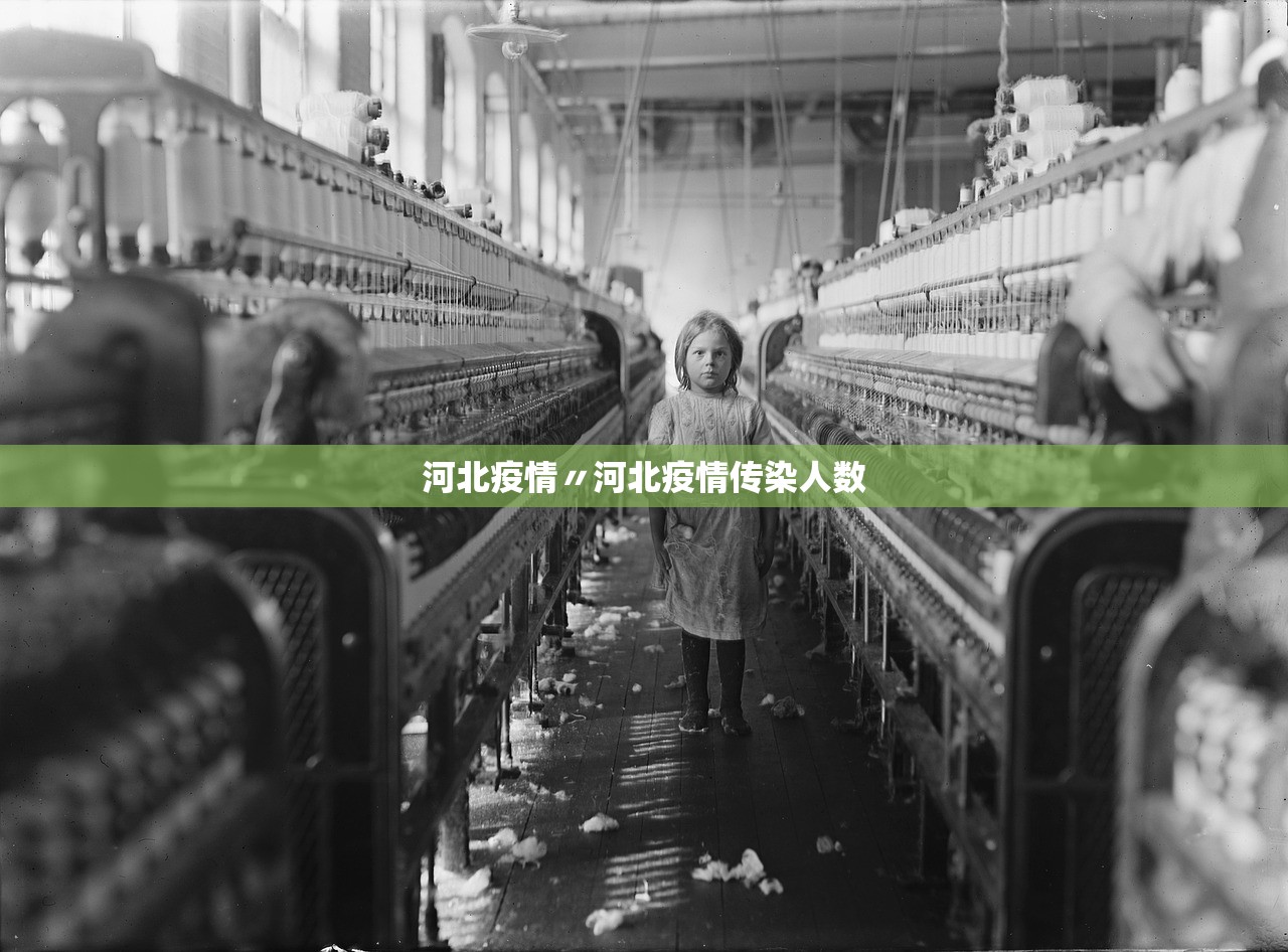 “8家新能源车企被集中约谈”	，小鹏汽车辟谣：并未收到此类不实信息提到的所谓“约谈	”，也不存在被立案