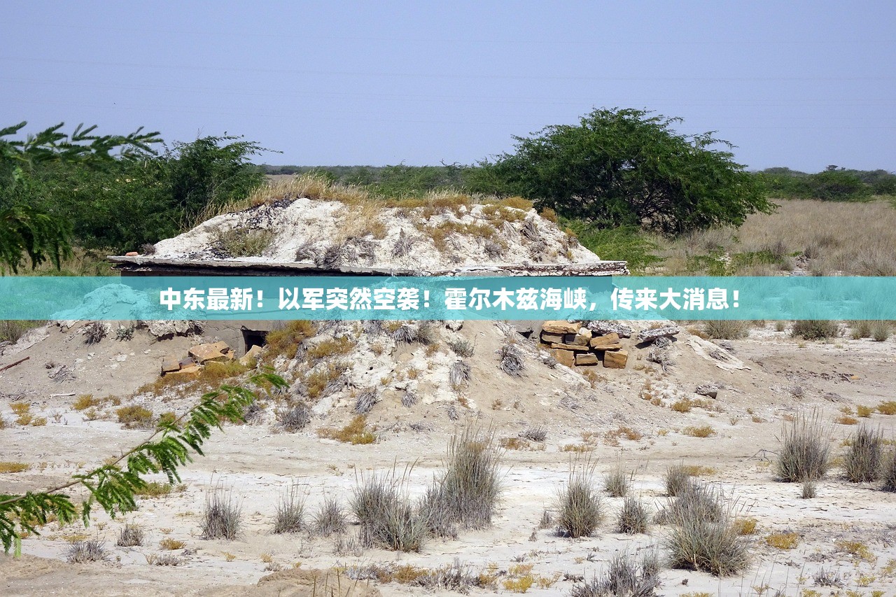 “山西疫情最新数据” 山西疫情最新数据消息？