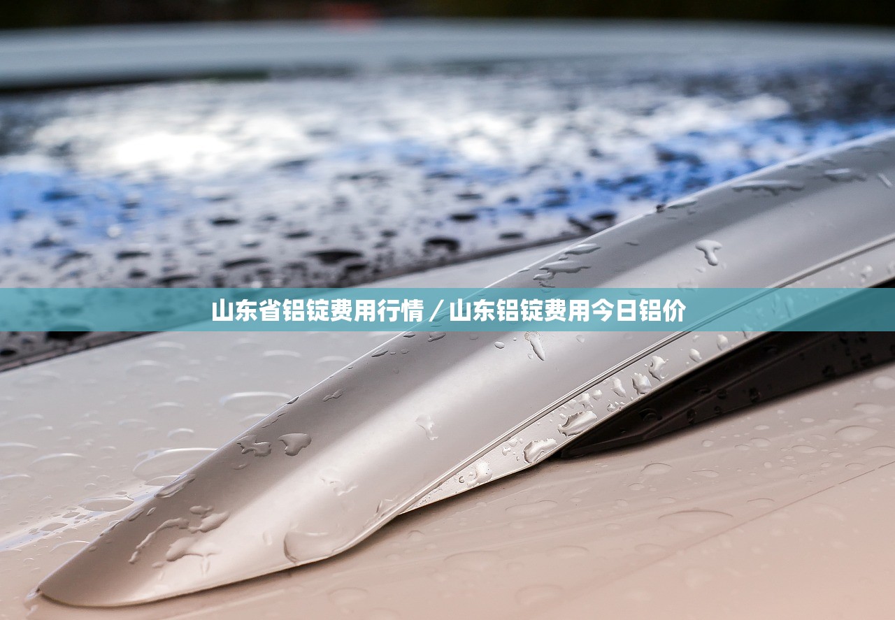 山东省铝锭费用行情/山东铝锭费用今日铝价 山东省铝锭费用行情/山东铝锭费用今日铝价