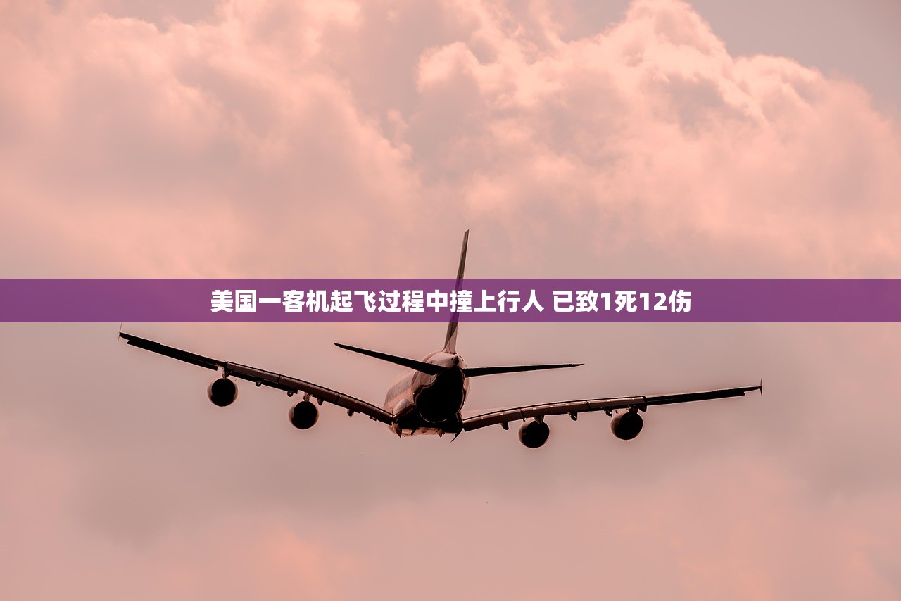 美国一客机起飞过程中撞上行人 已致1死12伤 美国一客机起飞过程中撞上行人 已致1死12伤