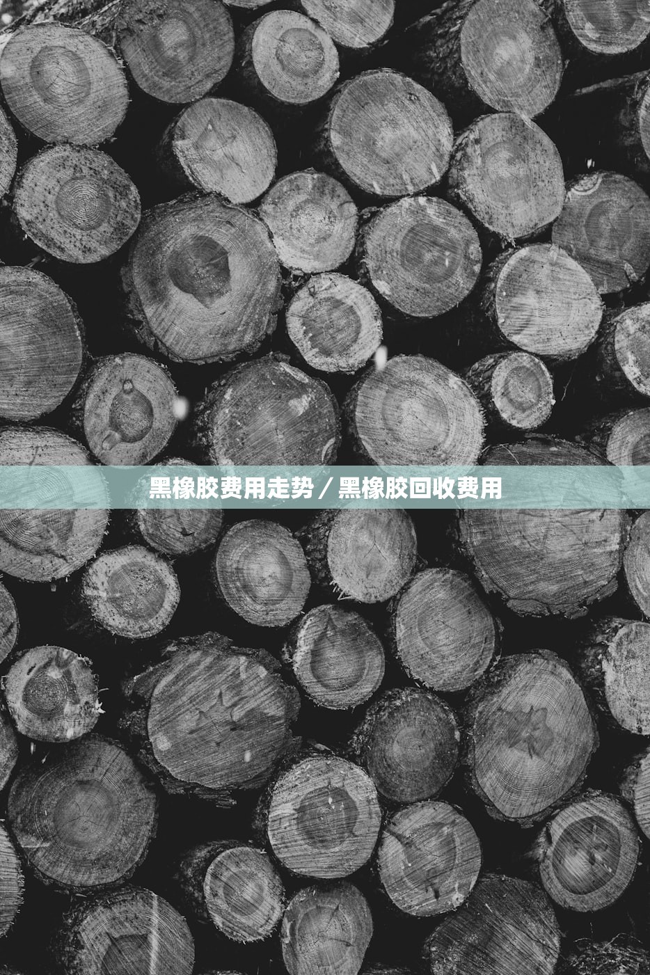 黑橡胶费用走势／黑橡胶回收费用