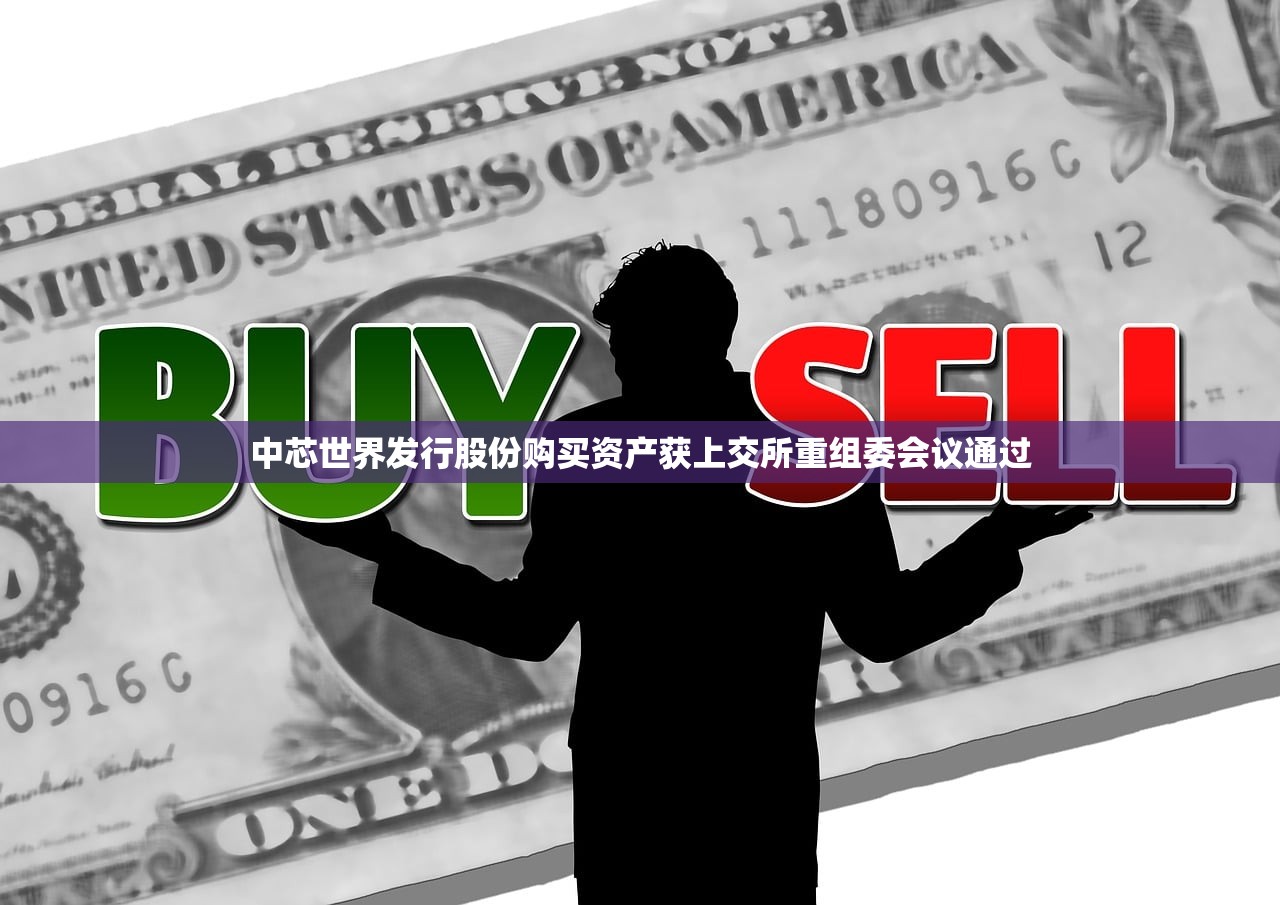 中芯世界发行股份购买资产获上交所重组委会议通过
