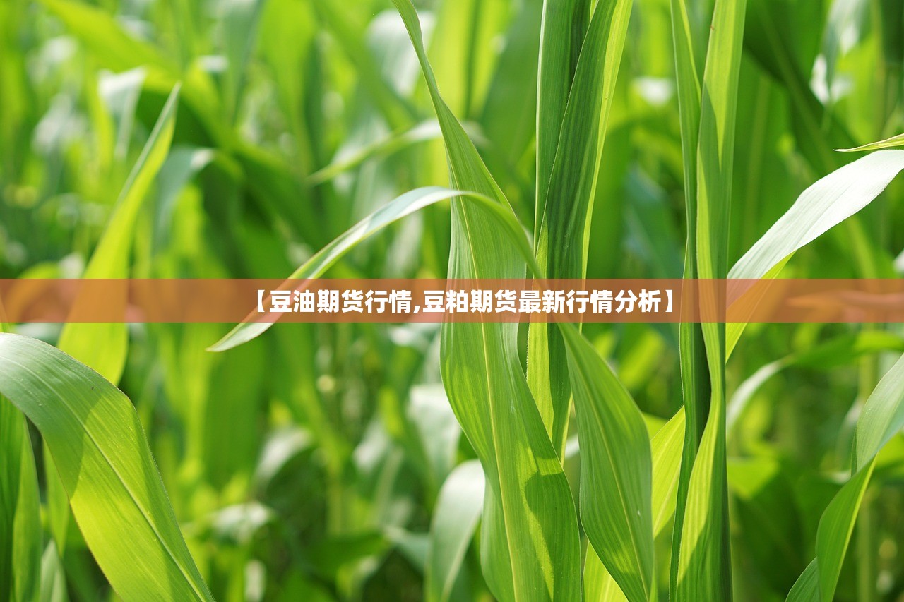 【豆油期货行情,豆粕期货最新行情分析】 【豆油期货行情,豆粕期货最新行情分析】