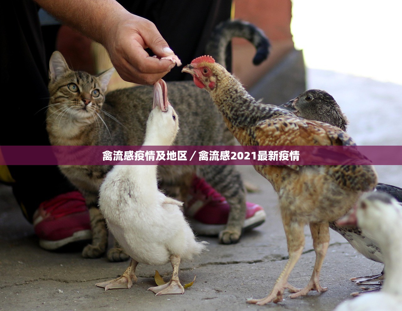 五一高速免费时间表2023年最新︰(五一高速路免费时间规定2020)