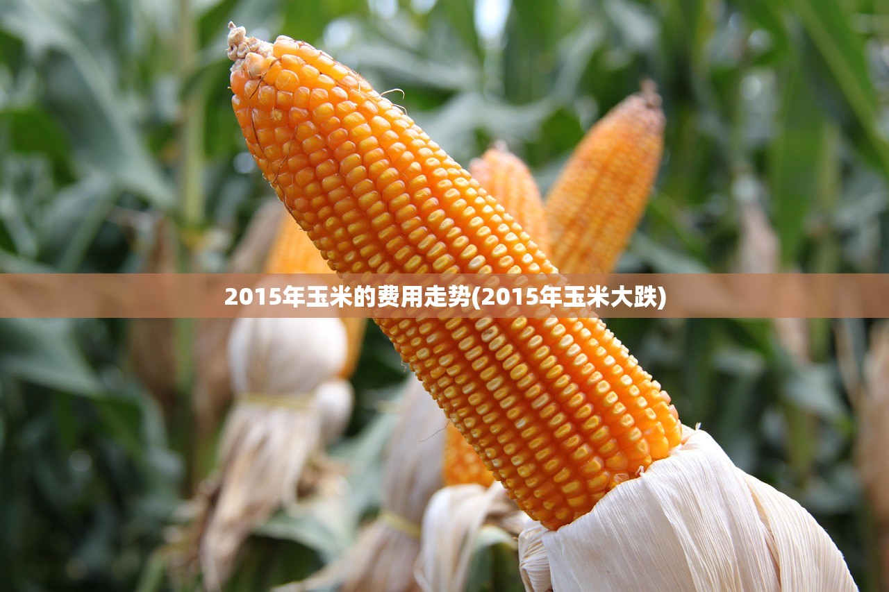 青岛黄岛区共发现5例确诊,青岛黄岛新型冠状病毒最新消息 青岛黄岛区共发现5例确诊,青岛黄岛新型冠状病毒最新消息