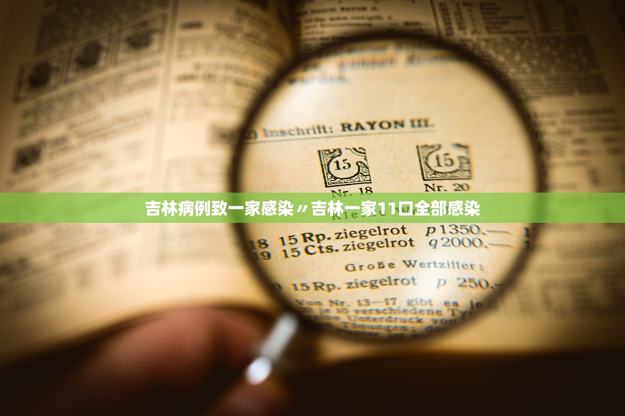 美国多州推进“阳台太阳能”微型发电系统立法进程