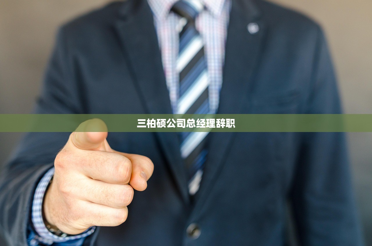 三柏硕公司总经理辞职 三柏硕公司总经理辞职